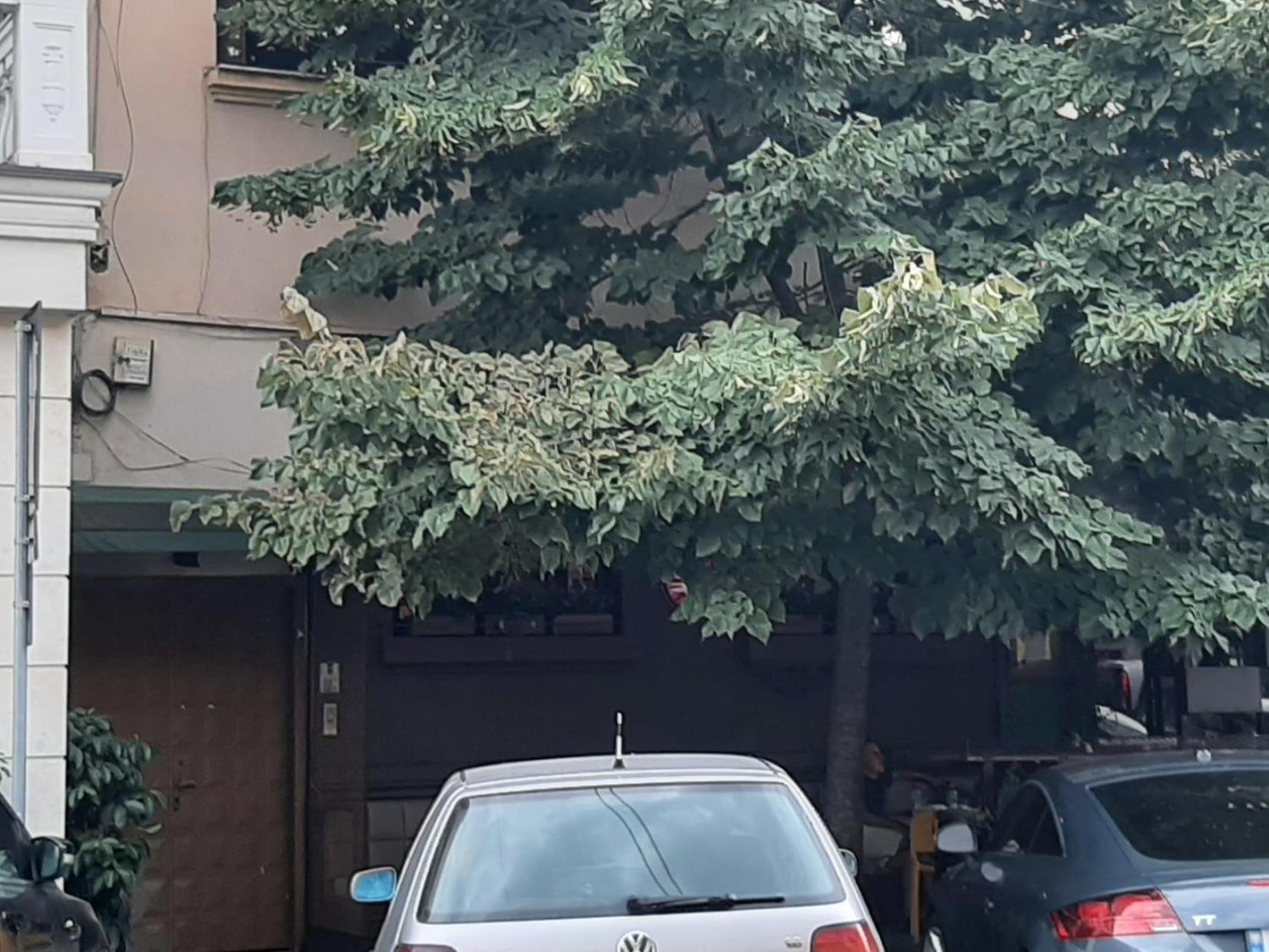 Yes Daire Tiran Oda fotoğraf
